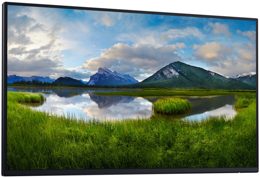 DELL P2425H (210-BMTB) - BEZ STOJANA