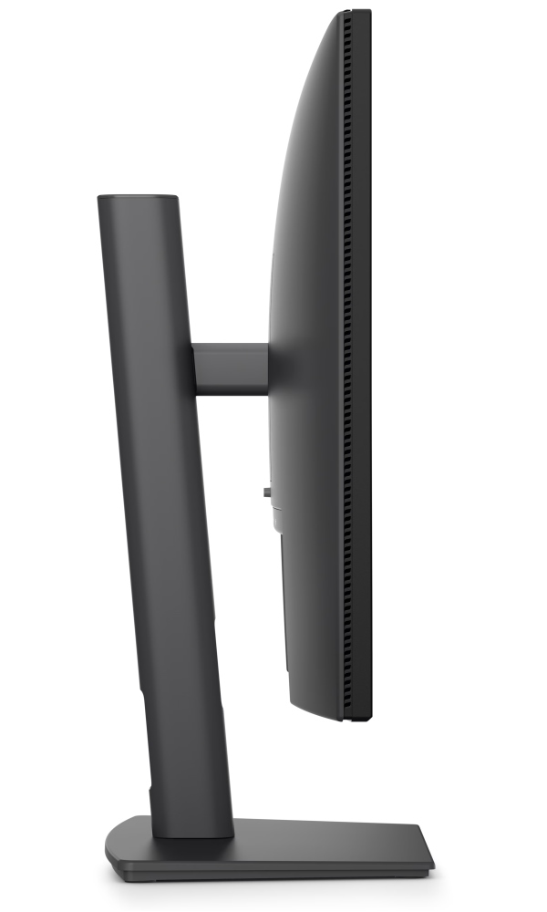 DELL Pro 24 P2426 24" (210-BVJR)
