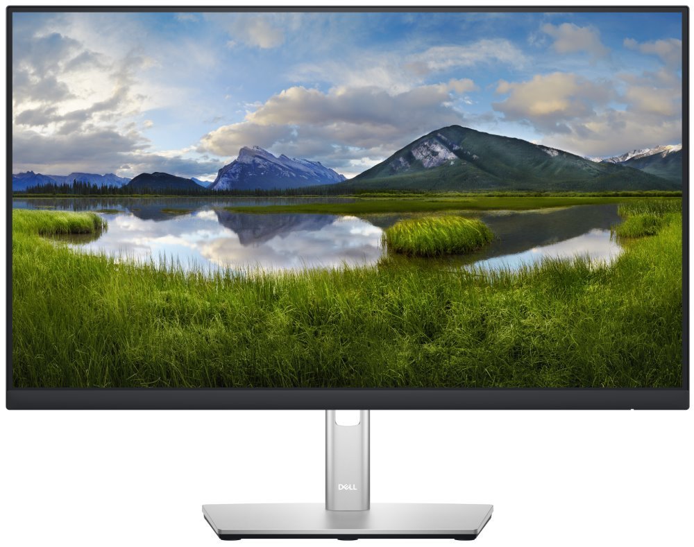DELL Professional P2422HE (210-BBBG)