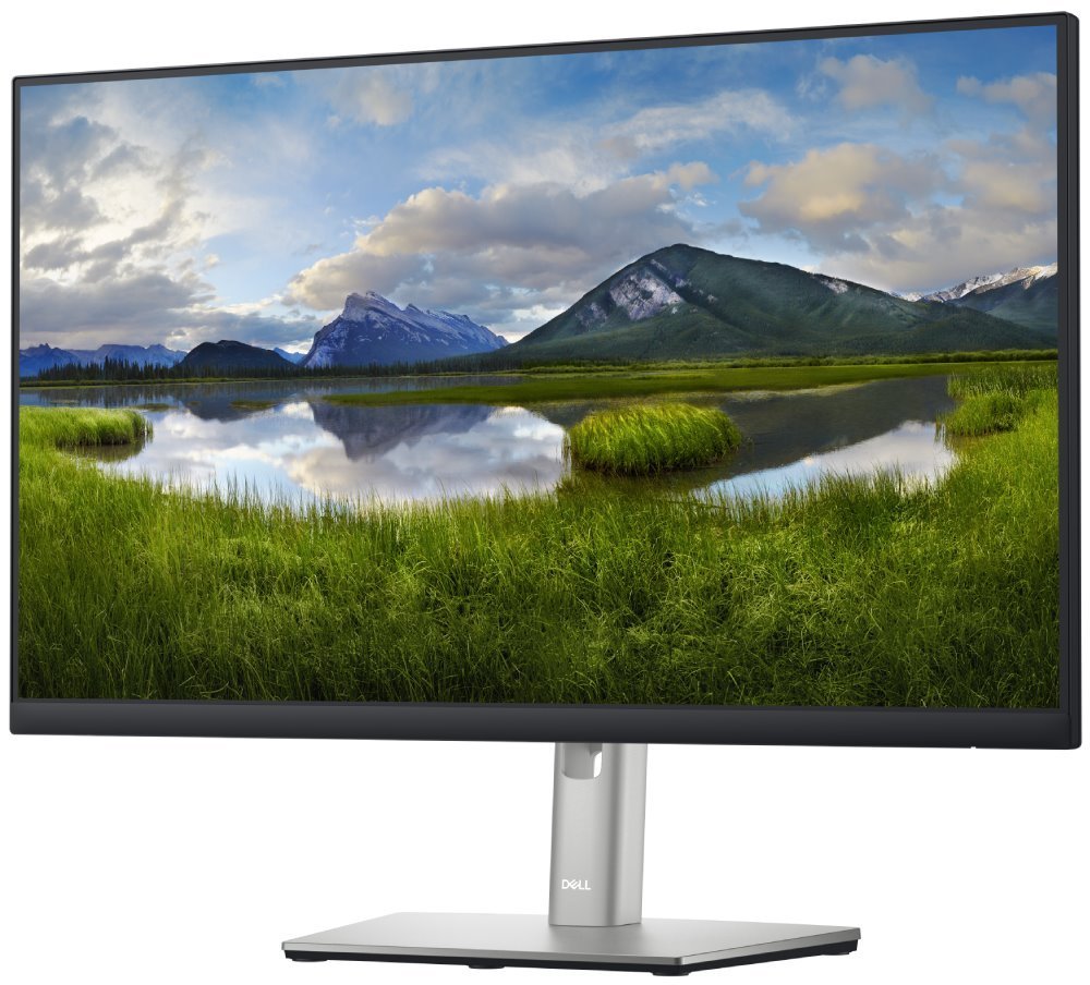 DELL Professional P2422HE (210-BBBG)