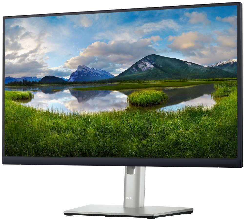 Dell Professional P2423DE (210-BDDW)