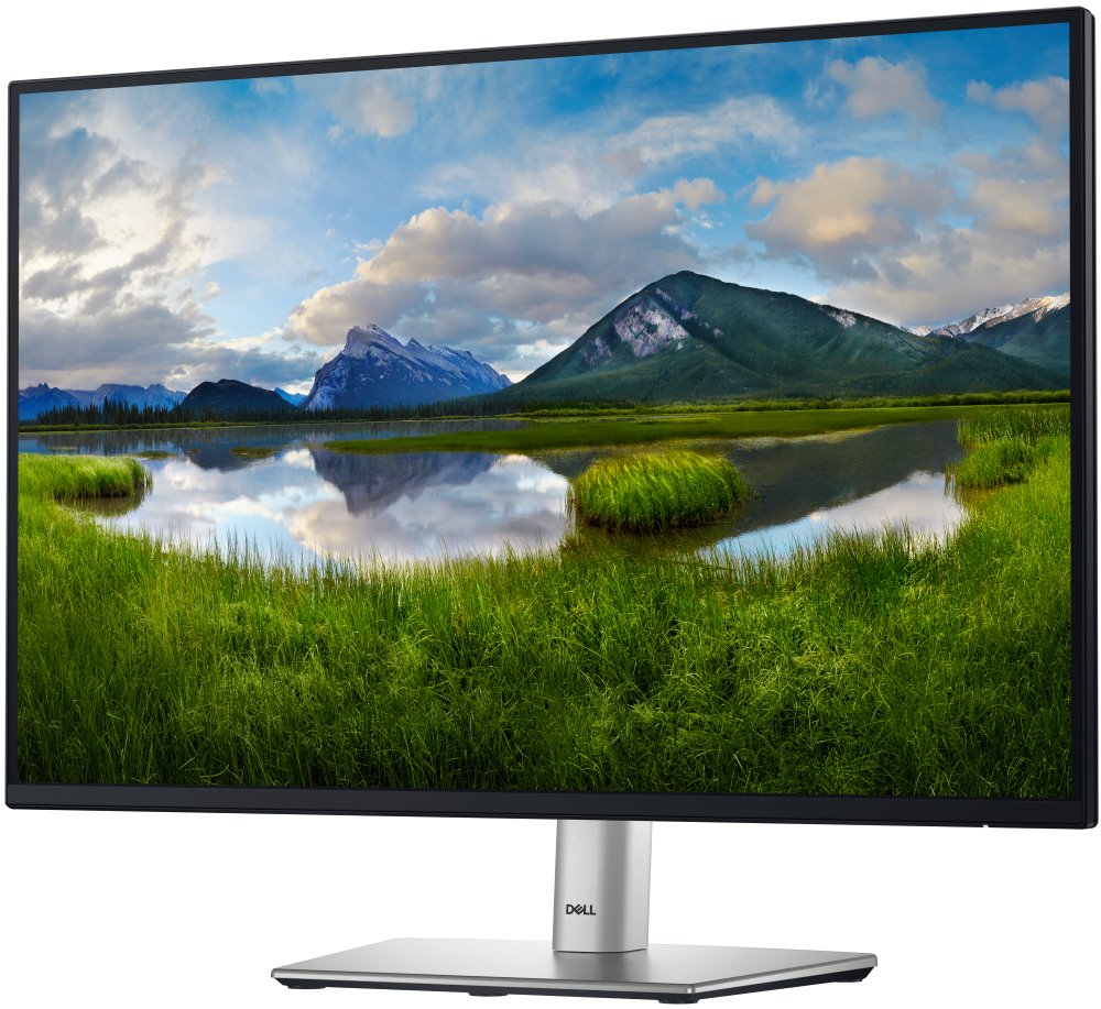 DELL Professional P2425 (210-BMJD)