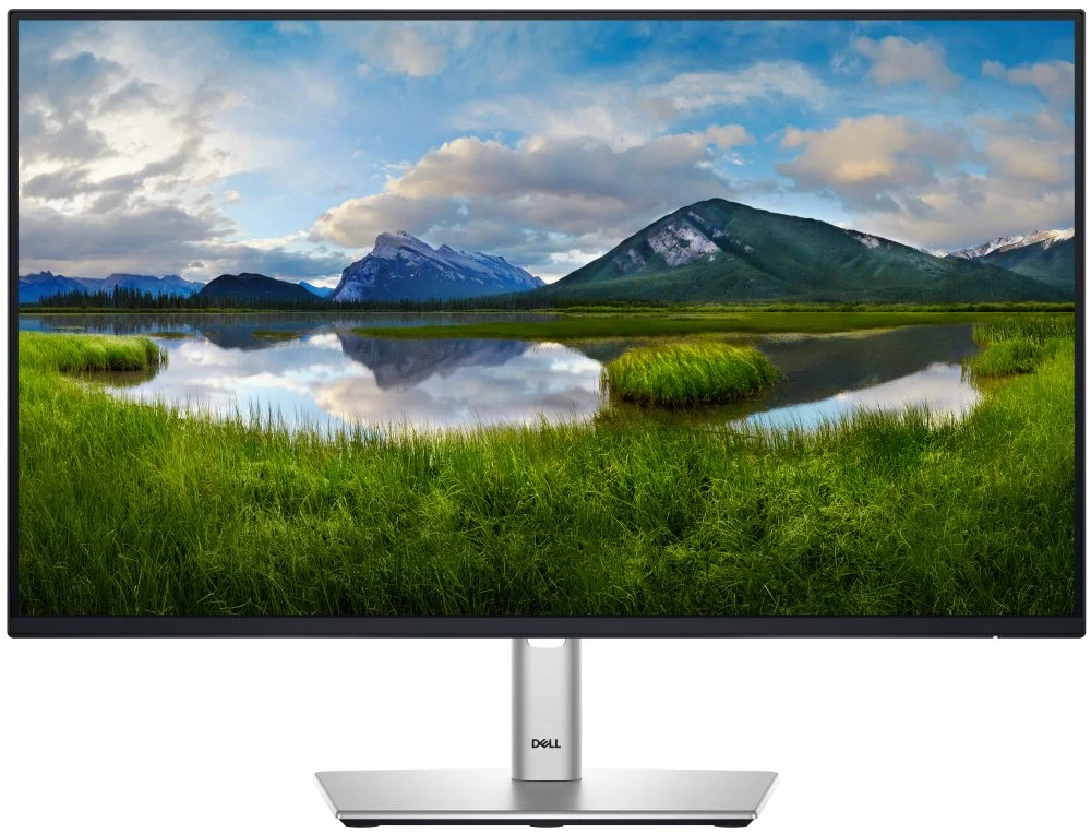DELL Professional P2425H (210-BMFF)