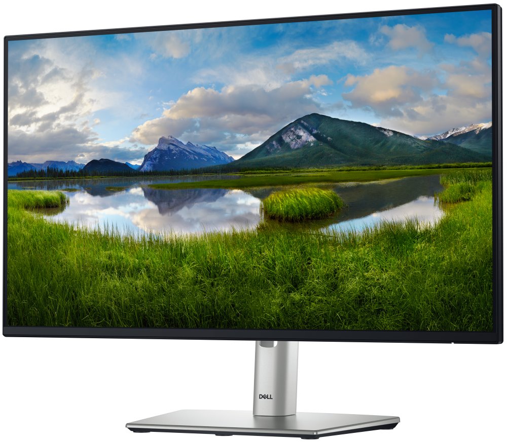 DELL Professional P2425HE (210-BMJB)