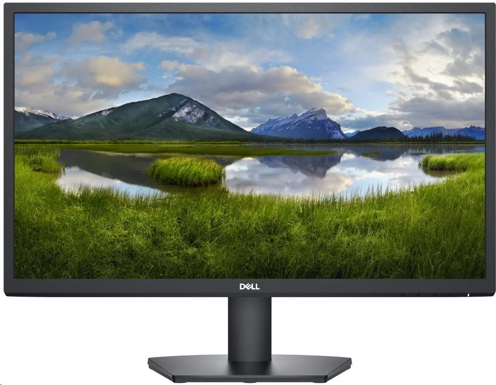 DELL SE2422H (210-AZGT)