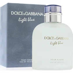 Dolce & Gabbana Light Blue Pour Homme EdT 40 ml Pre mužov