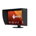 EIZO ColorEdge CG3100X 30,5"