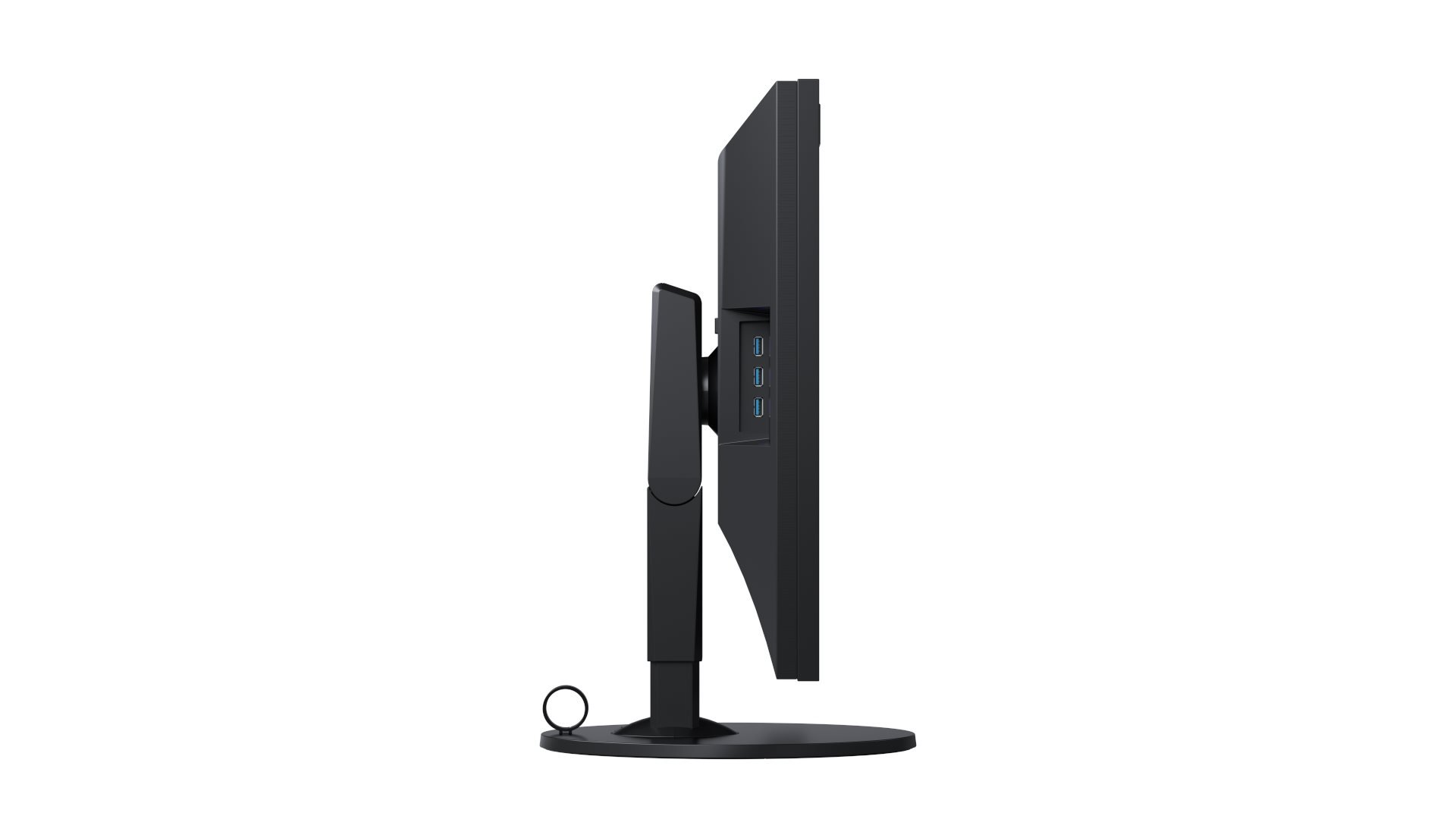 EIZO ColorEdge CG319X 31"