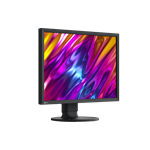 EIZO CS2400S černý 24"
