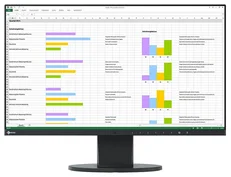 EIZO EV2450 černý 24"