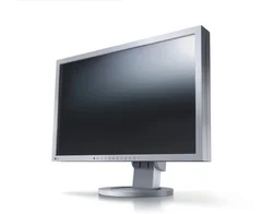 Eizo monitor S2402WFS-GY Gray 24" LCD/1920x1200/1000:1/5MS/DVI, TN