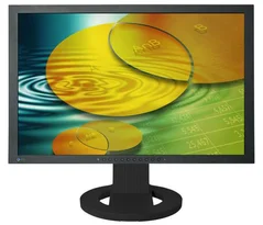 Eizo S2233WFS-BK 22" LCD black, 1200:1, 6ms, DVI, display port, repro, pivot, USB