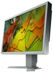 Eizo S2242WH-GY Gray 22" 16:10, 1200:1, 6ms, DVI, USB hub, repro, S-PVA