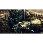 Elektronická licencia Dark Souls 3