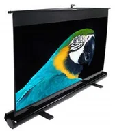 ELITE SCREENS ezCinema Series F135NWV