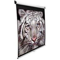 ELITE SCREENS M170XWS1