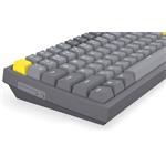 Endorphs Celeris 1800 US