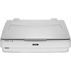 Epson Expression 13000XL