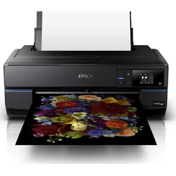 Epson SureColor SC-P800 (C11CE22301BX)