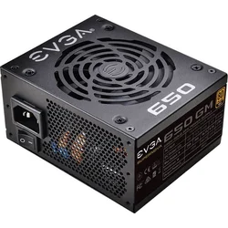 EVGA 650 GM