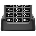 EVOLVEO EasyPhone ET strieborný