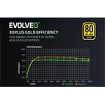 EVOLVEO G1200, 1200W, 80+ GOLD, ATX 3.1, PCIe 5.1, modulárny