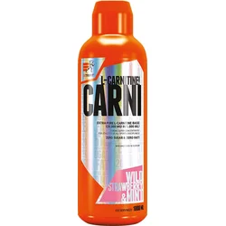 Extrifit Carni 120000 Liquid 1000 ml - lesná jahoda - mäta