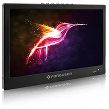 FERGUSON PHT-1008