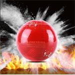 Firex Firexball-1 Hasiaca guľa (1,3 kg prášku Furex 770), 1ks