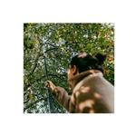 FISKARS Teleskopická rukoväť L OneClick 1080672