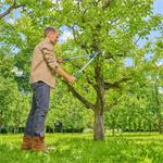 Gardena 12031-20 EasyCut obojstranné nožnice na konáre L