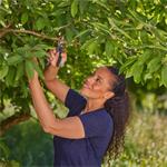 Gardena 12242-20 Zahradní nůžky PremiumCut Flex