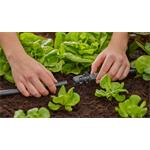 Gardena 13206-20 MDS T-kus pre striekaciu trysku 13 mm 5ks
