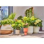 Gardena 13400-20 MDS Startovní Set pro terasy 30 rostlin
