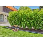 Gardena 13500-20 MDS štartovacia sada pre živé ploty/kríky 25 m