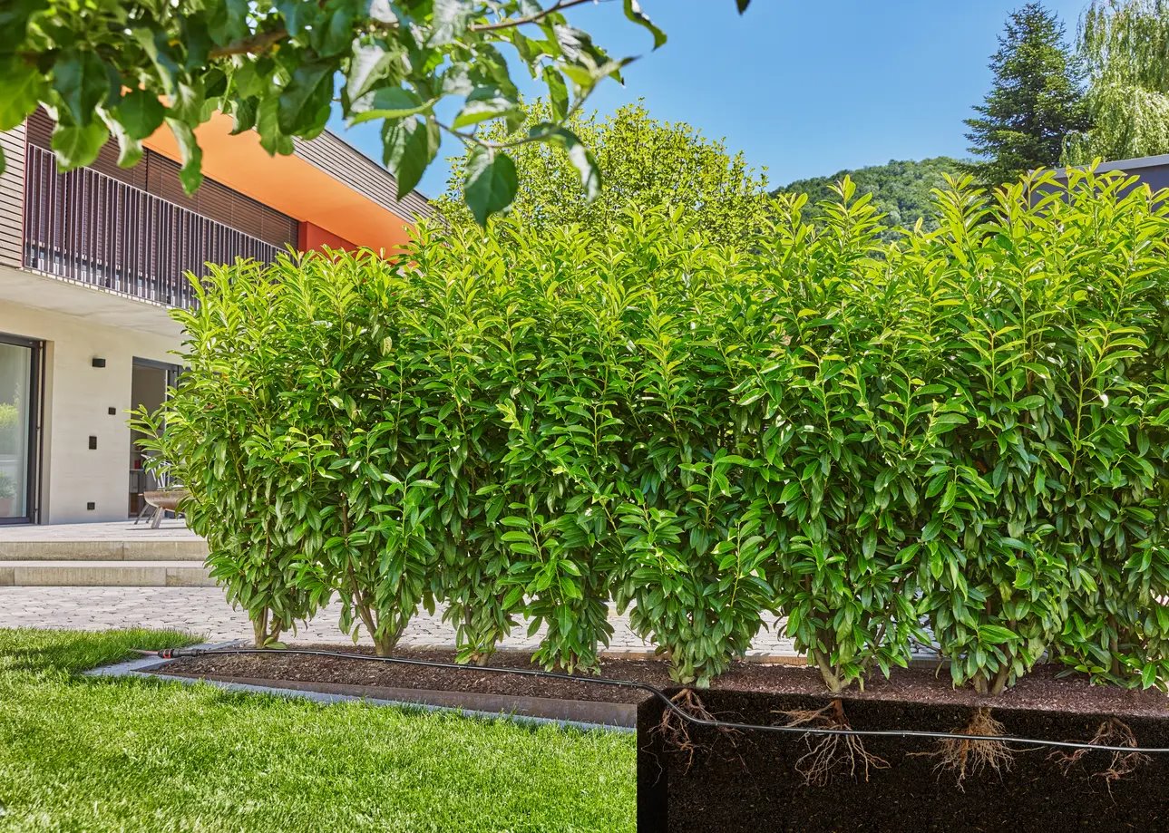 Gardena 13503-20 MDS kvapkacia hadica 13 mm, 25 M