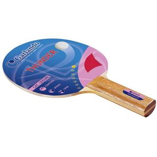 Garlando Pálka Thunder na stolní tenis, kategorie: Volný čas, hodnocení: *
