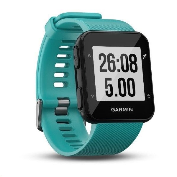 gps forerunner 30