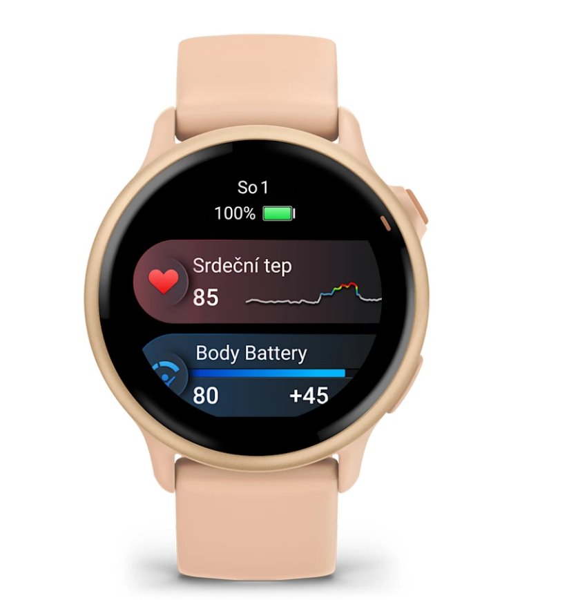 Garmin vivoactive 6 Metallic Pink Dawn / řemínek Pink Dawn