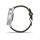 Garmin vivomove3 Style, Silver/Green Band