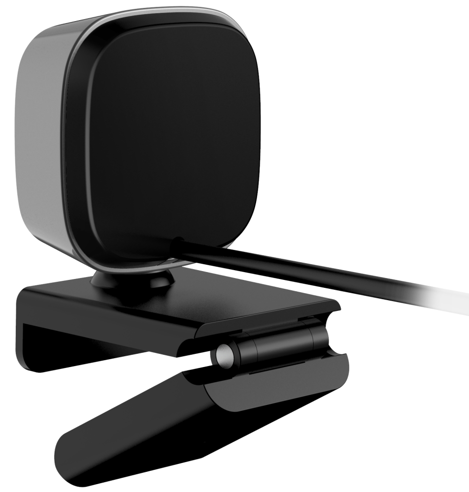Genius FaceCam 2010