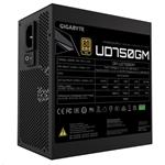 GIGABYTE UD750GM, 750W