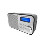 GoGEN DAB 300 N, strieborný GOGDAB300N