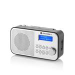GoGEN DAB 300 N, strieborný GOGDAB300N