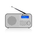GoGEN DAB 300 N, strieborný GOGDAB300N