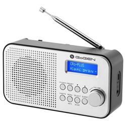 GoGEN DAB 300 N, strieborný GOGDAB300N