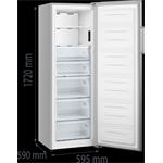 Gorenje FN617EES5