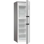 Gorenje FN619DAXL6