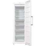 Gorenje FN619FEW5
