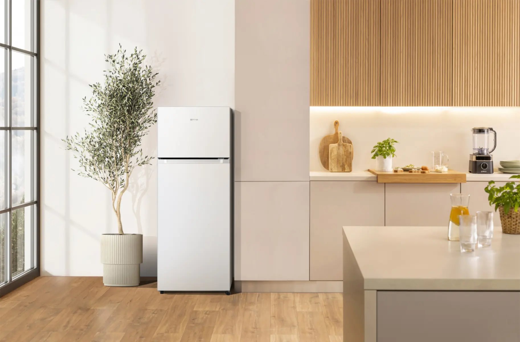 Gorenje RF414DPW4
